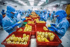 Investing in processing needed to increase farm produce value