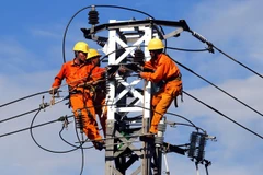 EVN prepares plans to ensure electricity supply in anticipation of surging demand