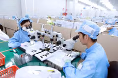 Industrial production index up 2.4 percent in January