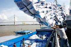 Mekong Delta eyes larger premium-quality rice areas to boost exports