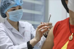 Progress in research, clinical trials of domestic COVID-19 vaccines updated 