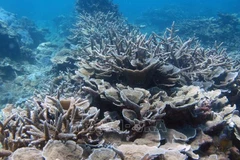 Week-long event raises awareness of sea-based economy, marine biodiversity