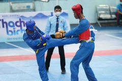  Quang Ngai hosts 13th national Vovinam championship 