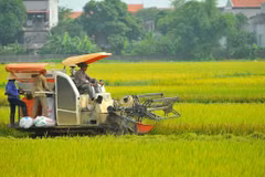 Conference reviews 10-year implementation of social welfare policies