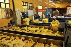 Rubber export to face difficulties toward year-end