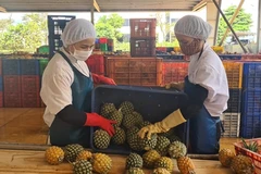 Vietnam targets 5.5 bln USD in agro, forestry, fishery export value to EU