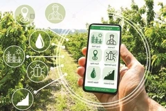 Science-technology programme serving new-style rural area building reviewed
