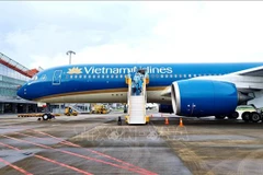 Many flights see occupation rates reach up to 90 percent ahead of Lunar New Year 