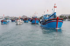 EC’s upcoming visit to Vietnam to review IUU fishing fight