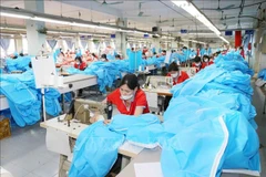CPTPP still holds untapped potential for Vietnamese businesses