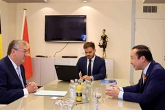 Vietnam, French Community of Belgium look to enhance cooperation