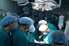 HCM City hospitals get software to manage organ procurement, transplant