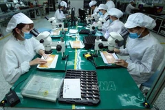 Vietnamese employees' average monthly income in Q1 increases sharply