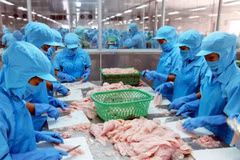 Seafood stocks expected to grow in 2022 on bullish outlook