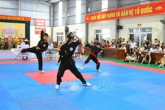 Hung Yen hosts largest-ever traditional martial arts championship