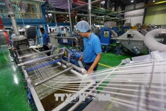 Vietnam remains a place of seemingly limitless promise: experts
