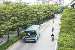Hanoi greening urban roads