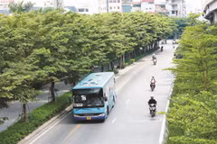 Hanoi greening urban roads
