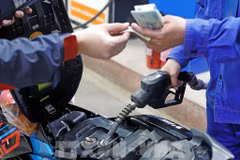 Petrol prices down by over 800 VND per litre 