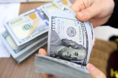 Vietnam's forex reserves projected to keep rising