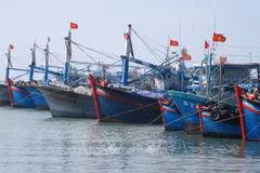 IUU fight yields upbeat outcomes