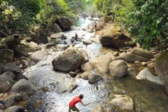 Thailand bans single-use plastics, styrofoam packaging in national parks