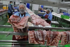 Danish seminar shares agicultural experience with Vietnamese firms