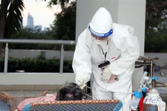 Meeting looks to improve health care resources in HCM City