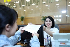 HCM City accelerates delivery of online public administrative services