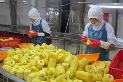 Netherlands a gateway for Vietnam to EU market