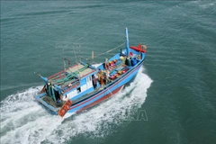 Localities enhance offshore fishing capacity