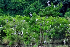Ecological recovery, biodiversity protection solutions sought