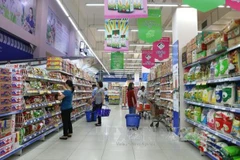 HCM City’s CPI inches up 0.22 percent in May