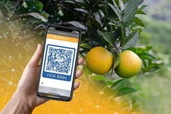 7.5 million farming households to be connected to Postmart.vn