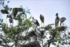 WWF commends Vietnam’s biodiversity conservation