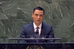 Vietnam supports efforts on denuclearisation on Korean peninsula: ambassador
