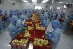 Better processing, market expansion needed for fruit, vegetable sector