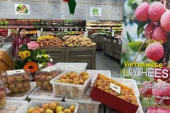 Vietnam - Australia trade goes up 37% in eight months