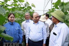 President presents gifts to senior citizens in Hai Duong