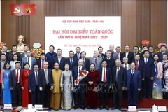 Vietnam-Thailand friendship association elects new chairman 