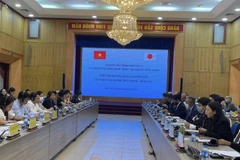 Vietnam, Japan review joint initiative