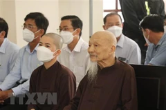 Long An: jail sentences proposed for individuals abusing rights to freedom, democracy