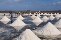 Vietnam’s salt industry must adapt: official