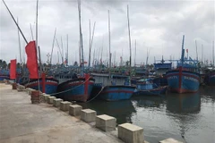 Vietnam to have 184 fishing ports by 2050: draft plan