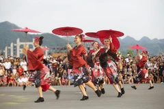 Street carnival attracts audiences in Hoa Binh province
