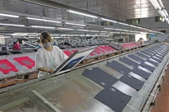 European firms’ confidence in Vietnam’s business environment slightly declines but still strong: EuroCham