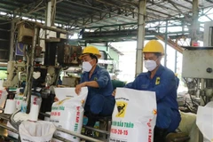 Russia-Ukraine conflict forces Vietnam to look for alternative fertiliser suppliers