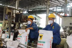 Russia-Ukraine conflict forces Vietnam to look for alternative fertiliser suppliers