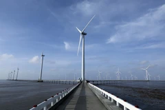 Vietnam needs strong financial sector to decarbonise economy: UN official