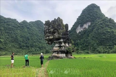 Suggestions made to help optimise values of Global Geopark